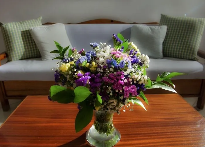 酒店 查理斯酒店 3*