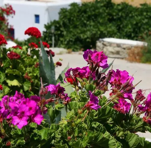 查理斯酒店 酒店 3*